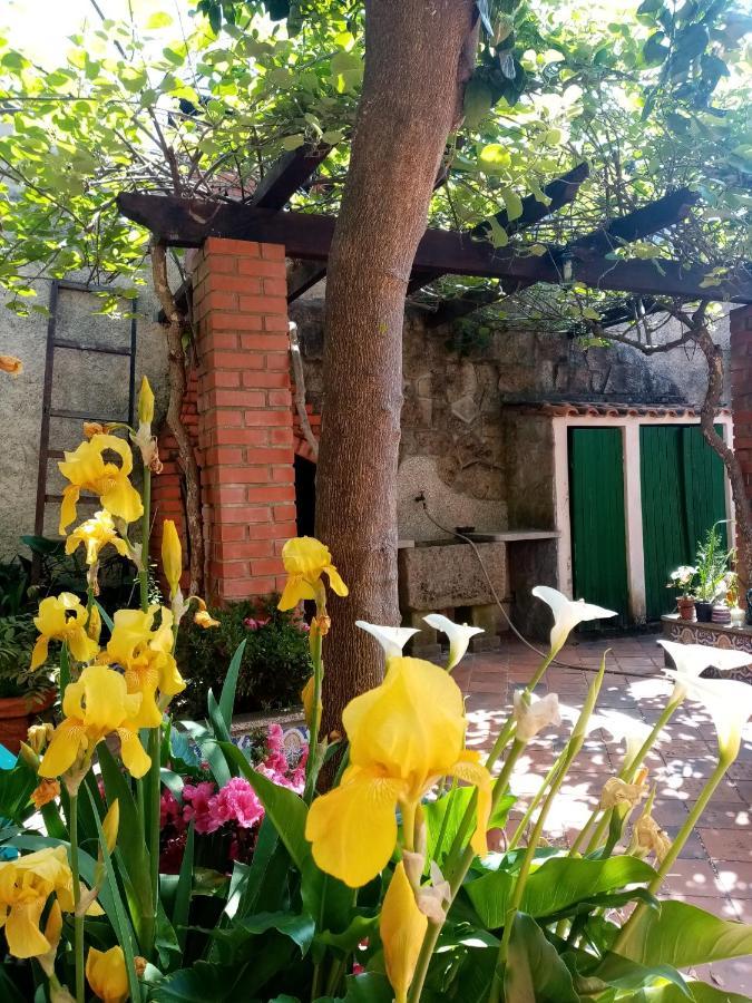 Appartamento Nossa Casa Na Aldeia Viseu Esterno foto
